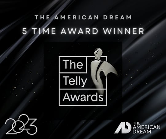 5 time telly awards